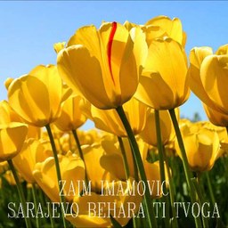 Zaim Imamović – Sarajevo, behara ti tvoga