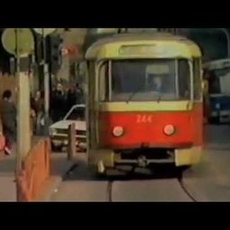 Aprilke – Sedam šuma