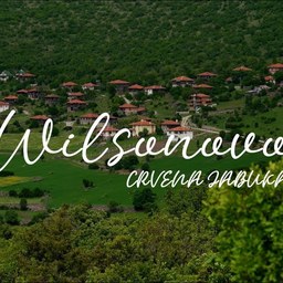 Crvena Jabuka – Wilsonovo